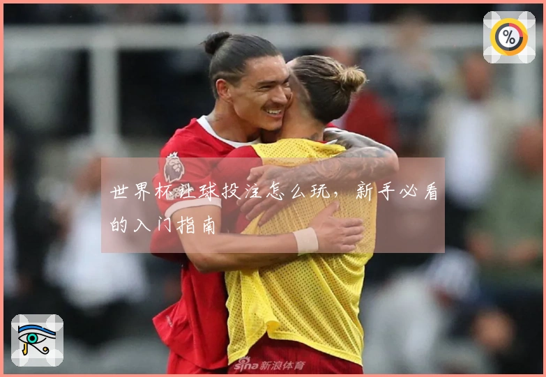 世界杯让球投注怎么玩，新手必看的入门指南