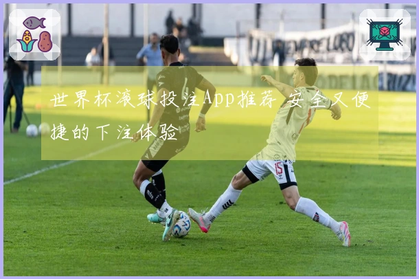 世界杯滚球投注App推荐 安全又便捷的下注体验