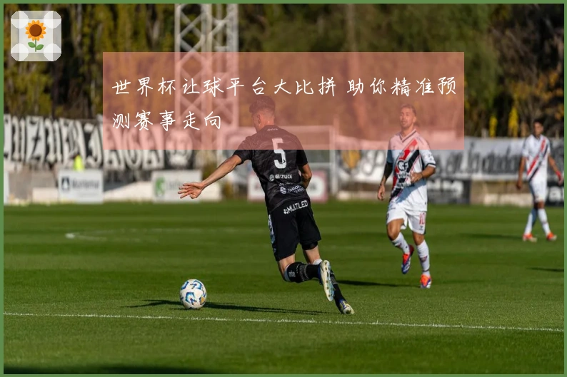 世界杯让球平台大比拼 助你精准预测赛事走向