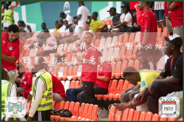 世界杯滚球竞猜怎么玩？新手必知的基本技巧与注意事项